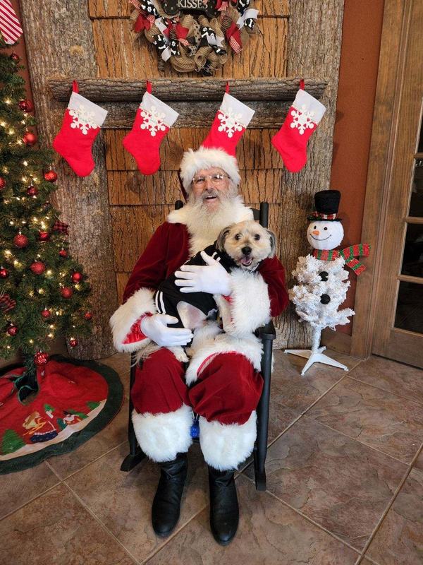 Santa John and Mrs. Claus with families, photo 12 of 21